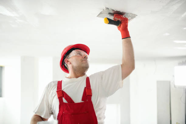 Best Drywall Sanding and Smoothing  in Glade Spring, VA